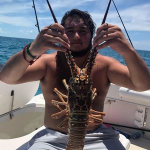 Meet your Posher, Juan